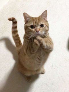 お休みを取りたい時は・・・【マダムの素顔】