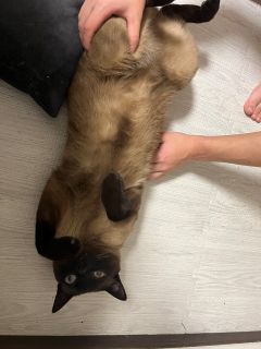 通勤だけでくしゃみが、、、