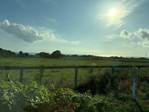 はじめまして！よろしくお願いいたします☆