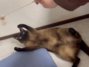 寒すぎて、、、