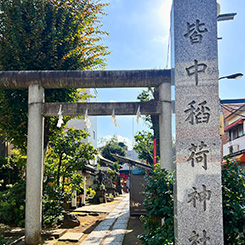 参拝確定