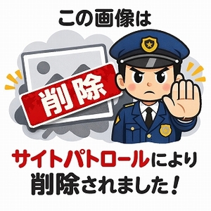アパパパパパッパパホテル