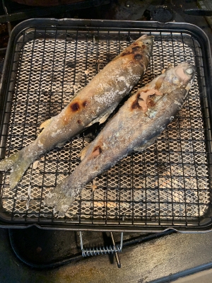 今日は、段取りの悪い自分にげんなり来てました😮‍💨