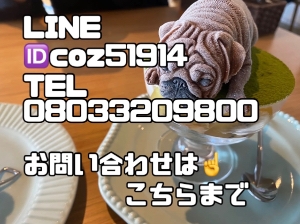 今日は！まゆこはお休みだけど…。
