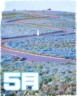 5月になりましたね！さ〜繁忙期に入って行きますよ^ - ^