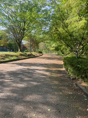 ゴールデンウィークですね^ - ^