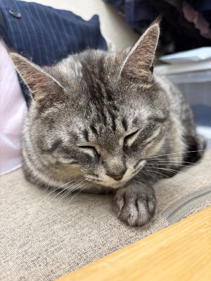 お店からのお願いです🙏🏻 💭