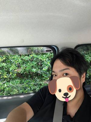 悪夢…？