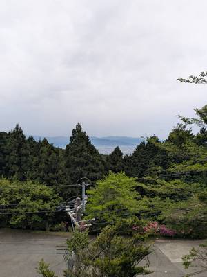 文化の極みだよ…