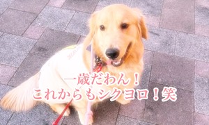 当店は出稼ぎの女性も大募集中！