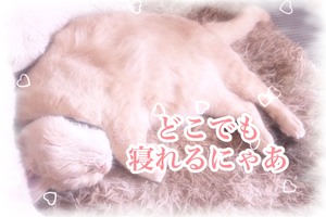 今日はちょっと「NG例」とか「新人あるある」について