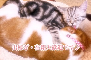 【未経験の方必見！！】