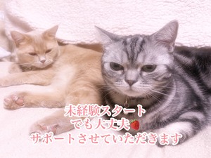 男性のスタッフさんは頼りになるけど 異性に言いにくいことも出て来るかも…