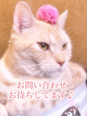 写メ日記で“指名が変わる”簡単なコツ