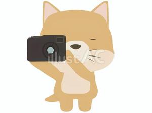 写メ日記