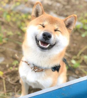 摩天楼鹿児島、ぜひお待ちしております！