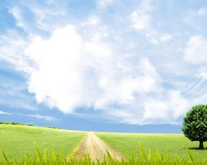 問題を解決できる！稼ぐための秘訣