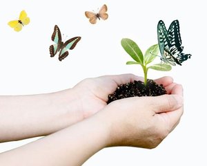 風俗求人を年齢だけで選んでいませんか？