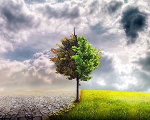 どうせなら楽しくお仕事しませんか？