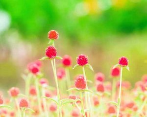 1人じゃない！仕事の悩みを解決する方法