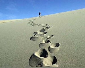 10年の歴史には失敗と経験がつまっている