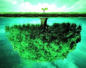 求人ブログは働いてる女性のためにある