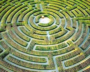 てんてん虫の末路とは？お店を変えるデメリット