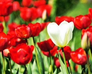 SEXの悩みから解放される素股テクニック