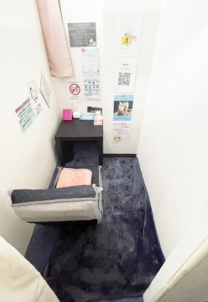待機室綺麗(・・?