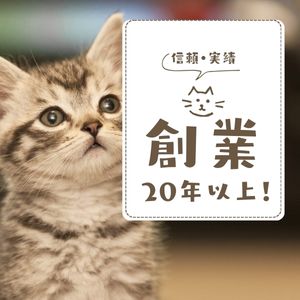あなたの夢や目標を全力サポート！創業20年以上の信頼と実績。