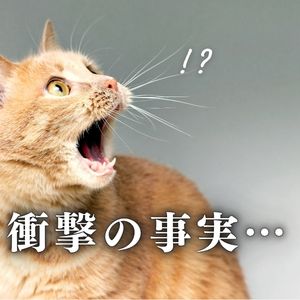 ✨超負担の少ないロングコース✨