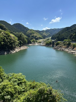 今年はグランピングとかしたいな〜
