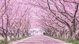もう3月！？💦