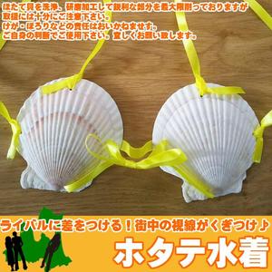 新しいオプションスタート