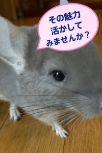 💖 デリヘル求人 💖「年齢こそが、あなたの強みです✨」
