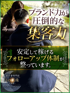 ﾟ･:*✿お仕事内容のご紹介✿*:･ﾟ