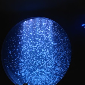 絶対に行きたい！！