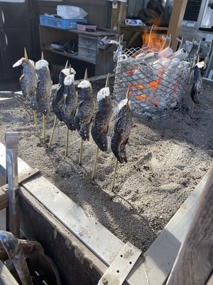 塩焼きが食べたくて。。。