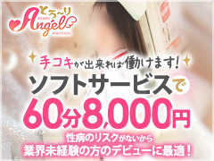 ソフトサービスで60分8,000円のお給料をGET！全額日払いなので今すぐお金が欲しい貴女にピッタリのアルバイトです♪乳首舐め・Dキス・手コキ専門店 とろ〜りAngel（ザ・ユニオンワークス）