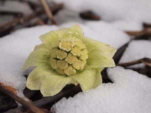「1日1本」でもちゃんと意味がある理由