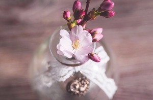 🌸明日から3月！3月の札幌はどんな感じ？