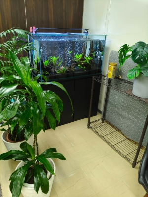 感謝の気持ちは大切です！