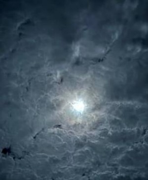 夜の魔力(=ﾟωﾟ)ﾉ