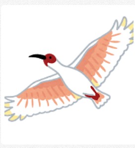 幸せの前触れ(=ﾟωﾟ)ﾉ