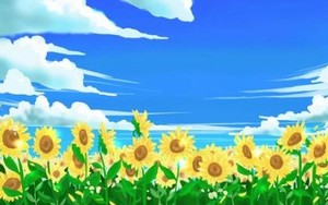 ゴッホンひまわり(=ﾟωﾟ)ﾉ