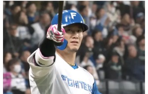 今年のテーマは『DOMIれ!』