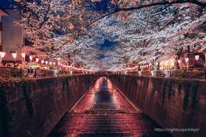 初心に戻る今日この頃・・・