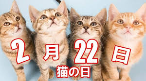 今日は2/22「猫の日」