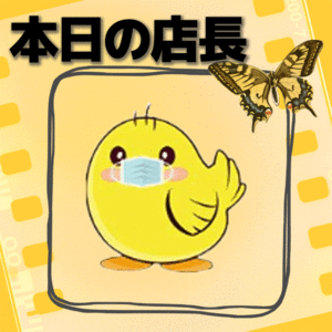 会議からの・・・