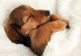 緊張するよね・・・